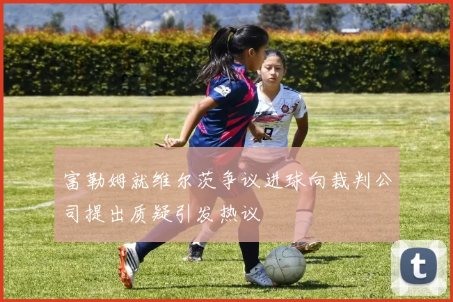 富勒姆就维尔茨争议进球向裁判公司提出质疑引发热议